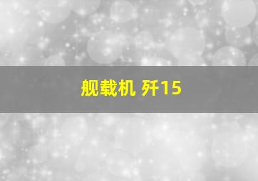 舰载机 歼15